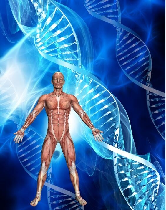 姚园园课题组（神经生物学、心血管方向）招聘启事(图1)