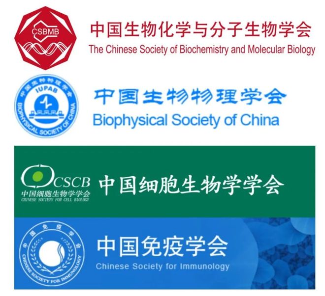 AdvSci丨张先恩、彭雷、分子招募共定位系统：活细胞中可视化多蛋白互作与构建生物凝聚体的新工具(图3)