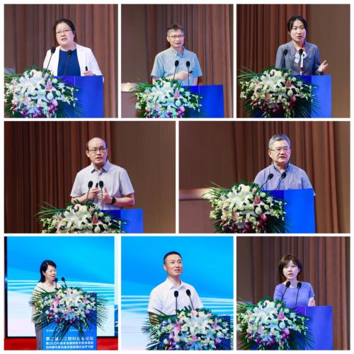第二届滨江眼科高峰论坛召开促眼科多学科协同发展(图20)