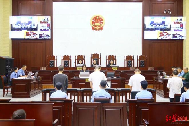 致幻的蘑菇碰不得！四人种植贩卖裸盖菇被控贩卖运输制造毒品获刑(图2)