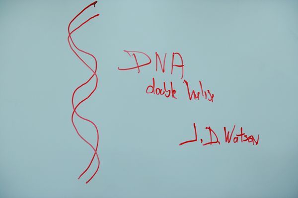 “DNA之父”去世！千余字论文解开人类遗传学秘密告诉中国学生：清楚自己的目标方向(图2)