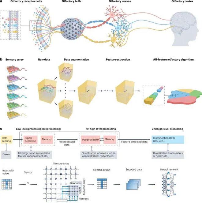 中石油第一单位发Nature系列综述！(图3)