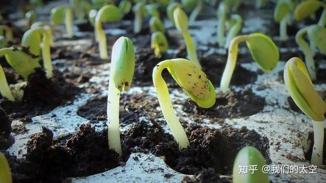 国家航天局发布推进商业航天高质量安全发展行动计划『视窗』(图1)