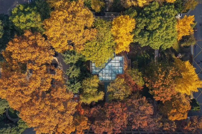 南京医科大学：一所被低估的双一流强校凭什么和老牌医学名校比较(图6)