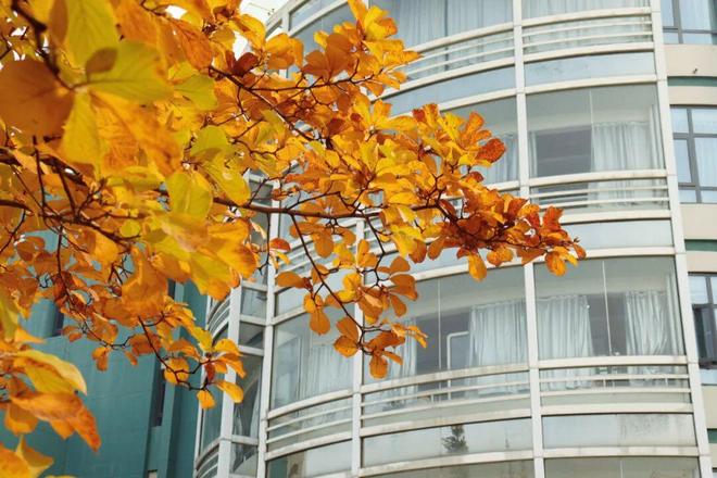 南京医科大学：一所被低估的双一流强校凭什么和老牌医学名校比较(图11)