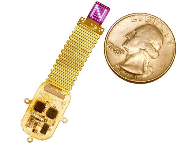 科学家让大脑学会辨认光形成新感官(图1)