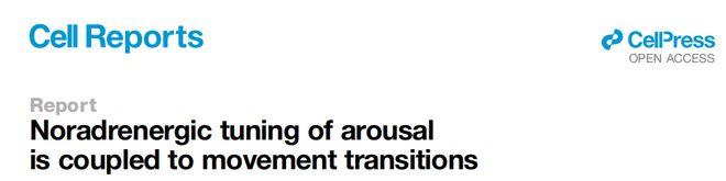 为什么运动后大脑更清醒？Bruchas团队揭示去甲肾上腺素能系统耦合运动转换调控觉醒的机制(图1)