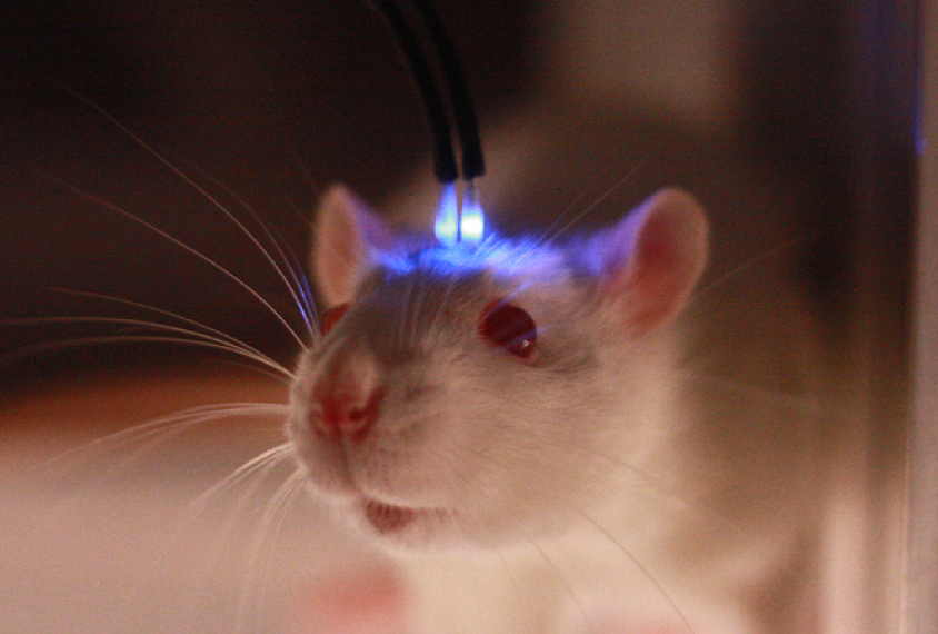 【“十五五”我所思·我所盼】殷墟考古写新篇(图1)