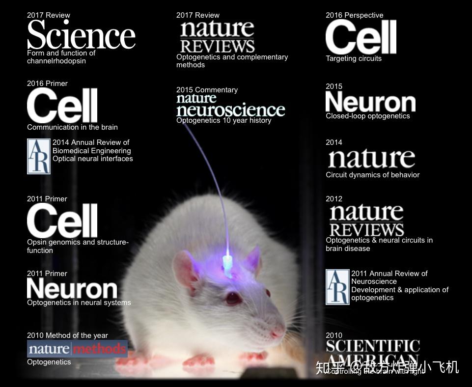 一周热点：LED盛会ISE2026开幕MicroLED迎产学研新突破(图1)