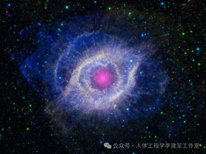 人体工程学交叉学科结构图(图2)