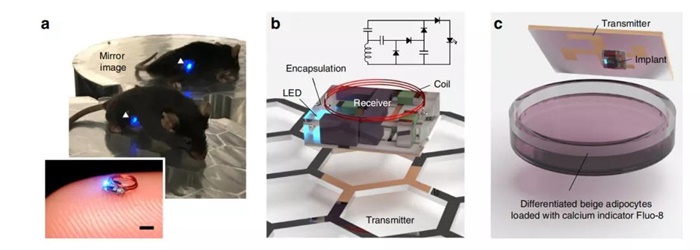 影响因子从648跌至505还是那个“神刊”吗？(图1)