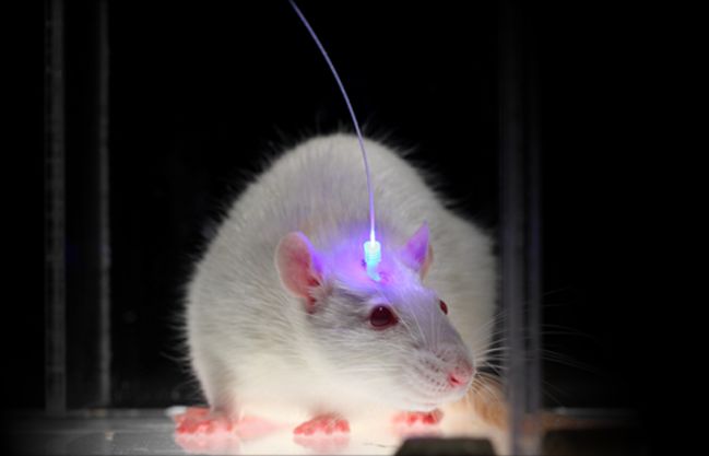 情绪研究为何陷入停滞？(图1)