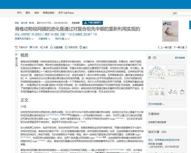 不可思议！我们人类的眼睛似乎源于6亿年前独眼生物（新研究）(图2)