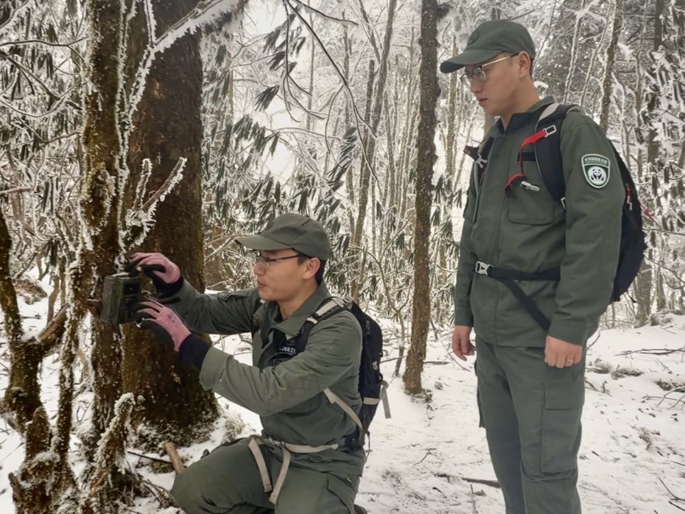新春走基层·记者体验360行我当野生动物监测员(图2)