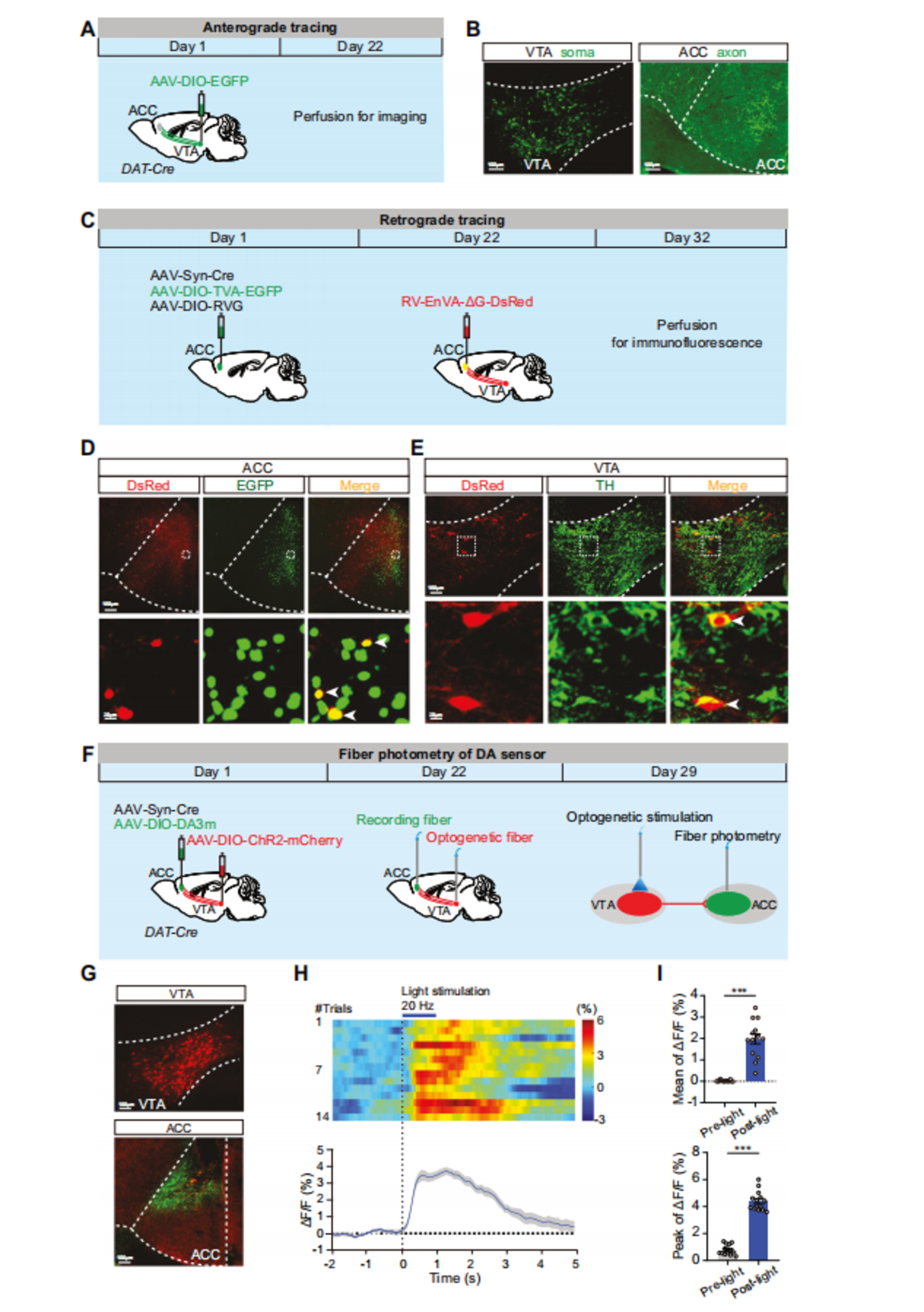 Nat子刊：田波(图4)