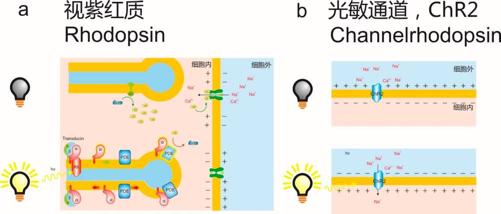 江苏省（无锡市）保险理赔律师推荐-李晓伟律师团队(图1)