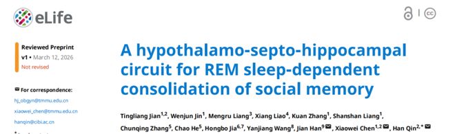 eLife：重庆脑中心HanQin陆军医谌小维等揭示REM期间巩固社交记忆的神经回路(图1)