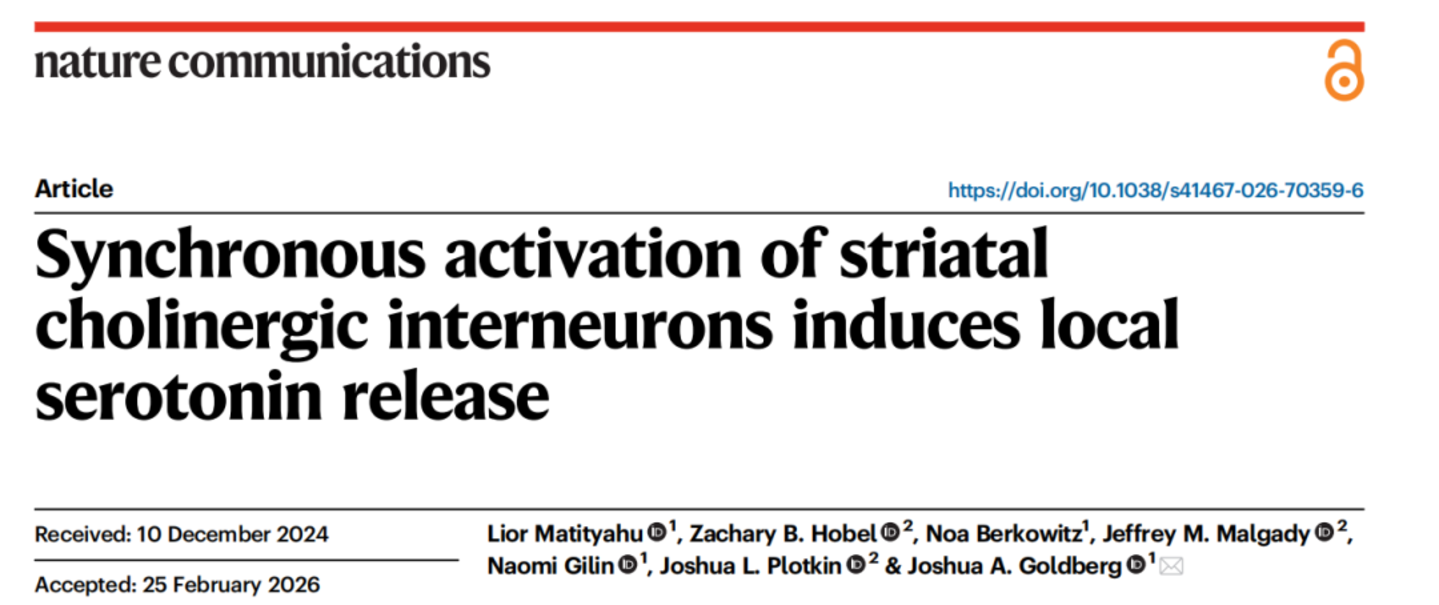 NatCommun：以色列科学家揭示纹状体内调控5-羟色胺产生“愉悦感”的新神经通路(图1)