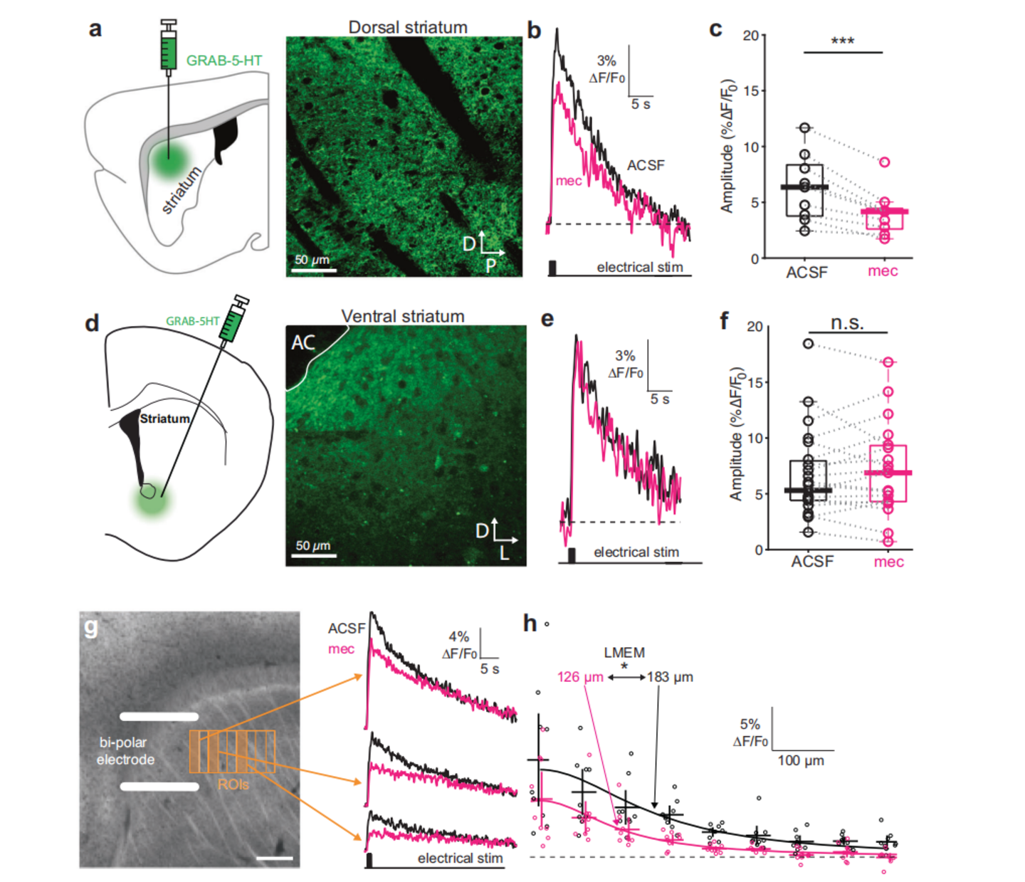 NatCommun：以色列科学家揭示纹状体内调控5-羟色胺产生“愉悦感”的新神经通路(图2)