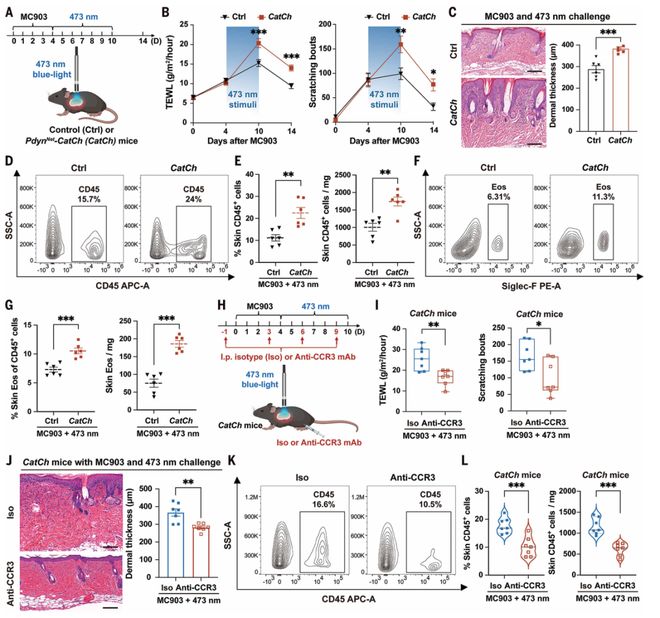 Science：“神经-免疫”轴新突破！复旦柳申滨团队首次揭示心理压力加重湿疹的关键机制(图5)