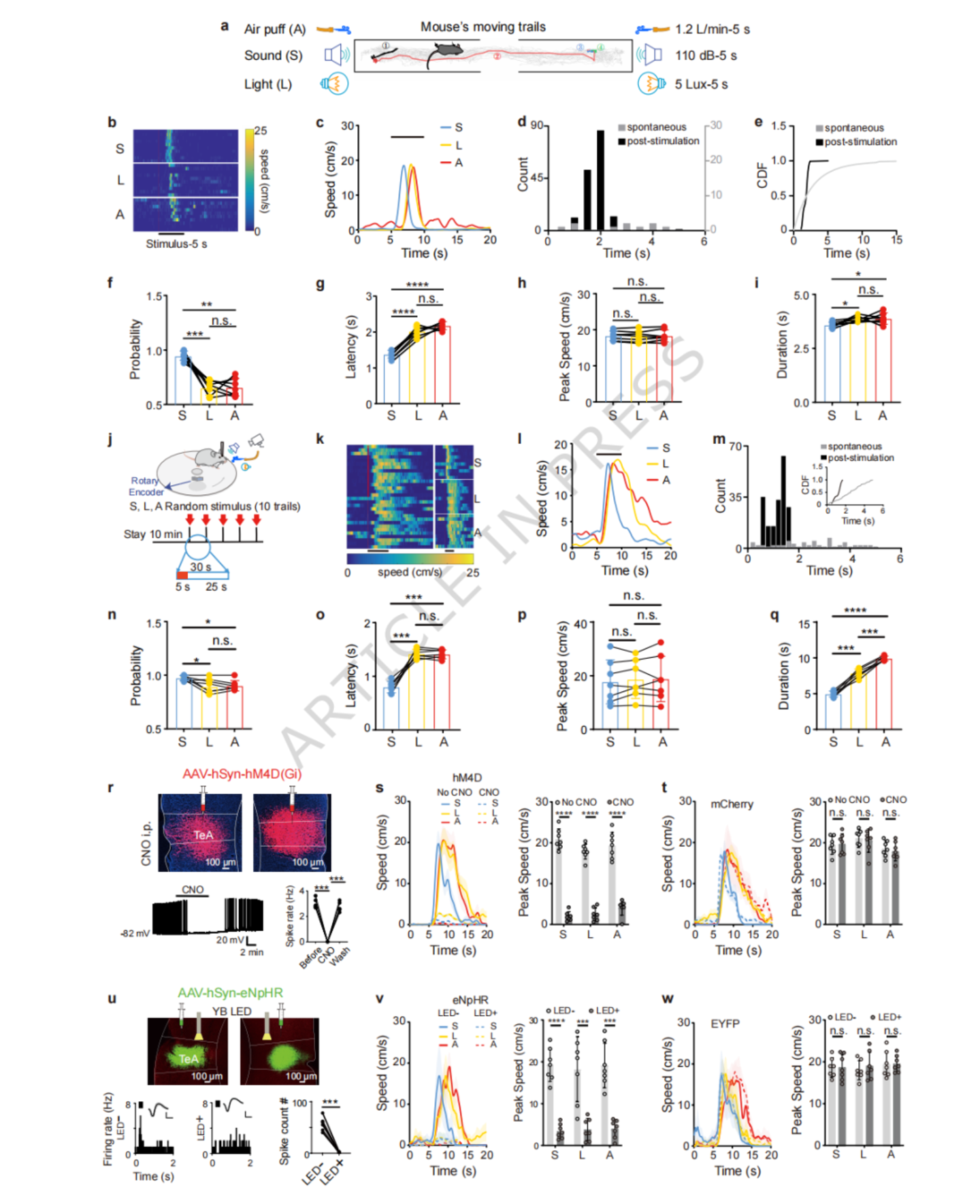 NatCommun：南方医科大学肖中举团队揭示感官诱导逃逸背后的神经机制(图2)