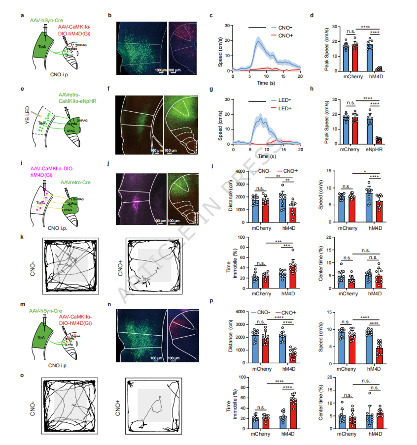 NatCommun：南方医科大学肖中举团队揭示感官诱导逃逸背后的神经机制(图3)
