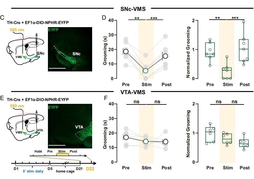 “袁隆平学长又回到了我们身边”(图1)