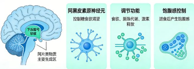 为什么我们吃饱饭后还想吃甜点？(图1)