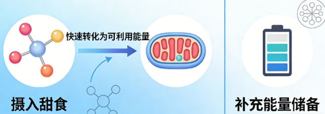 为什么我们吃饱饭后还想吃甜点？(图3)