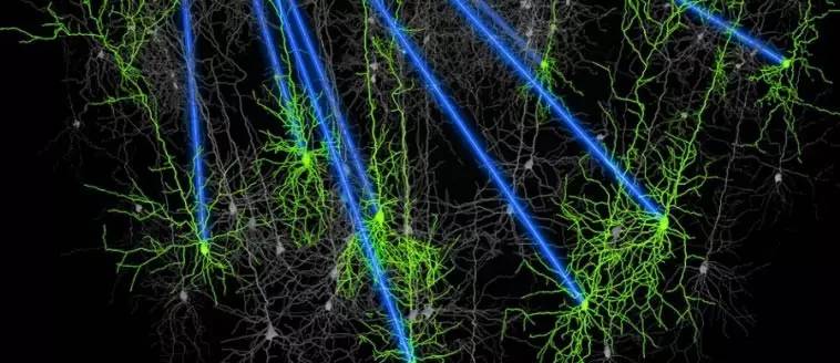 躬身田野让人才在一线拔节成长——华中农业大学积极推进新农科改革(图1)