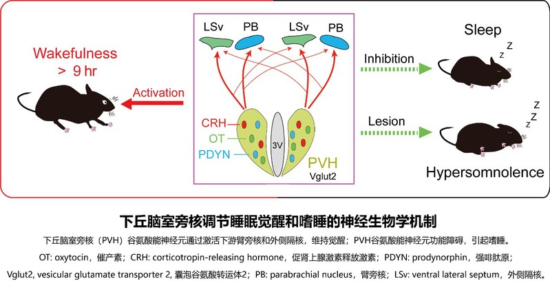2026读书月2026第5届“阅读视界”全国大学生主题摄影大赛佳作频出千元大奖花落谁家？(图1)