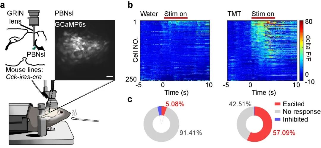 “铮铮铁骨”唤醒热血青春——对复旦大学“科技考古助力红色寻根”的调研与思考(图1)