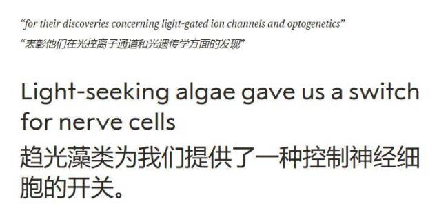 今年首个诺贝尔奖颁给了“为大脑装开关”的人光遗传学开启新阶段_中华网(图2)