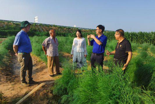 强农先锋丨张兴平：设计育种创未来(图3)