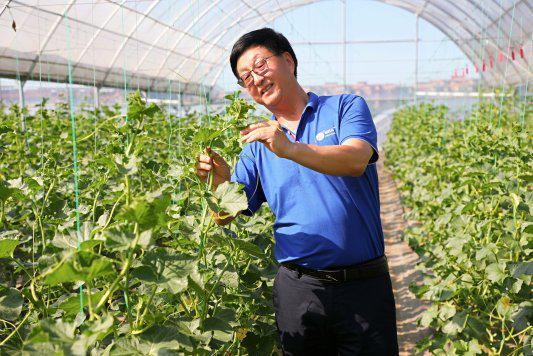 张兴平：设计育种创未来(图1)