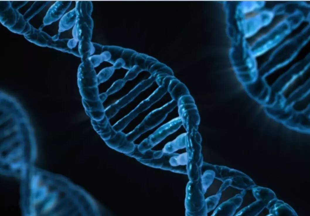 打开科学教育的想象空间(图1)