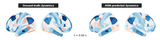 自然·方法：扰动AI孪生脑刻画脑网络因果(图1)
