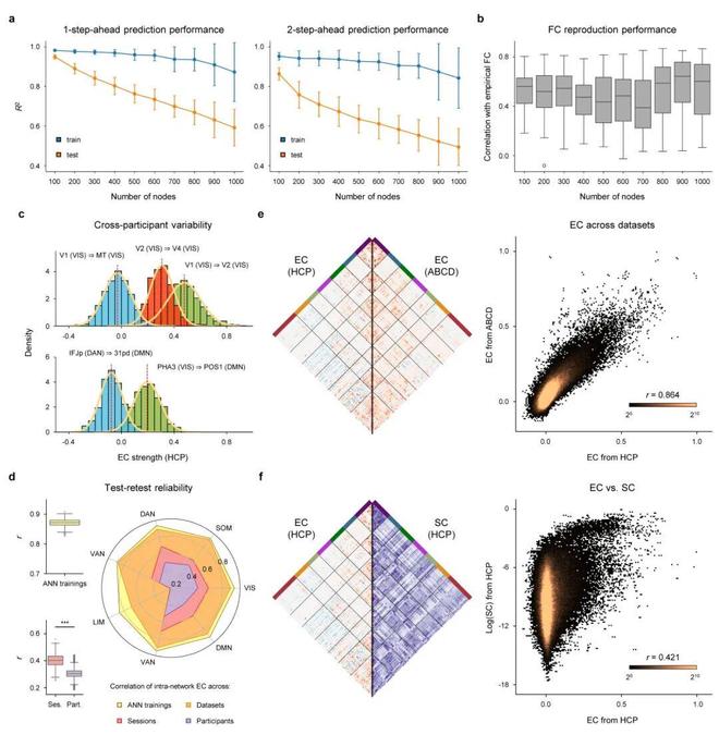自然·方法：扰动AI孪生脑刻画脑网络因果(图5)