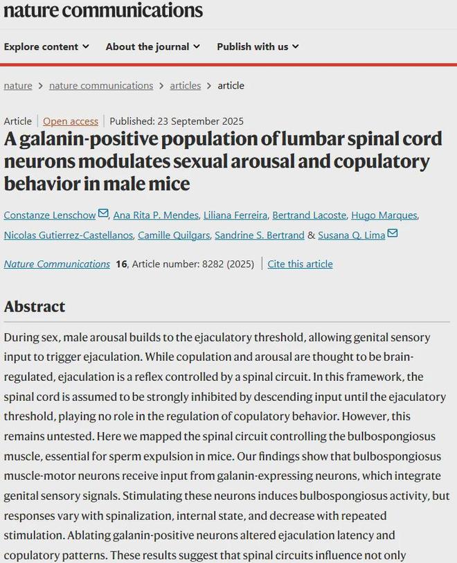 颠覆认知！男人的“下半身”可能有独立思考能力？(图4)