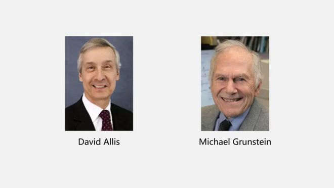 2025诺奖生理学或医学奖前瞻｜医学还是基础？华人能否获奖？(图12)