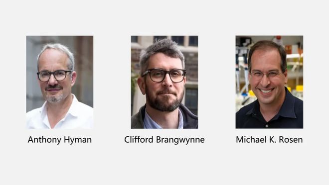 2025诺奖生理学或医学奖前瞻｜医学还是基础？华人能否获奖？(图9)