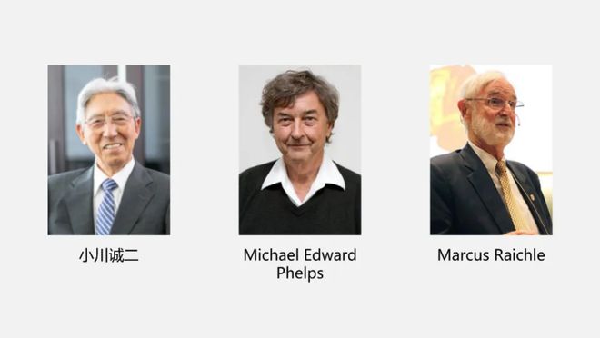 2025诺奖生理学或医学奖前瞻｜医学还是基础？华人能否获奖？(图7)