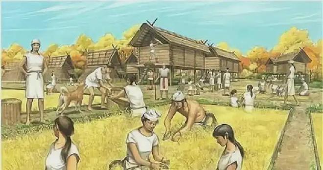 日本人破防了：DNA检测日本祖先被证实人不是徐福后代(图6)