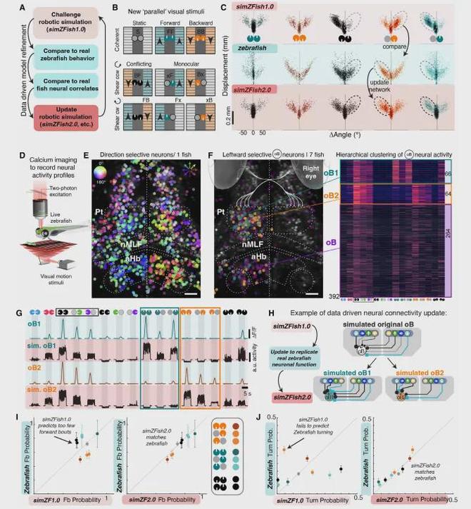 SciRob最新封面！EPFL造出复现斑马鱼视动反应的仿生机器鱼(图5)