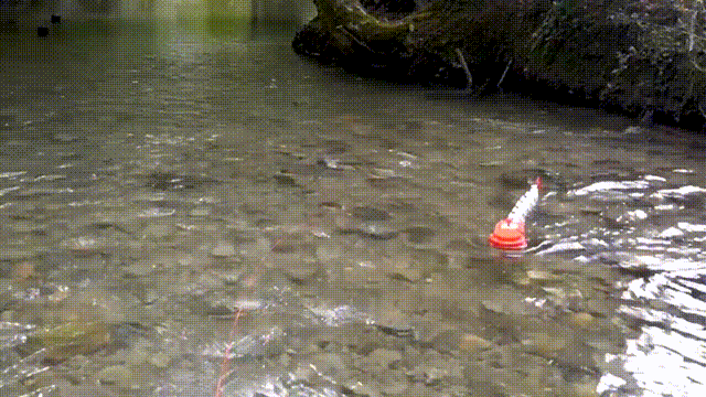 SciRob最新封面！EPFL造出复现斑马鱼视动反应的仿生机器鱼(图7)