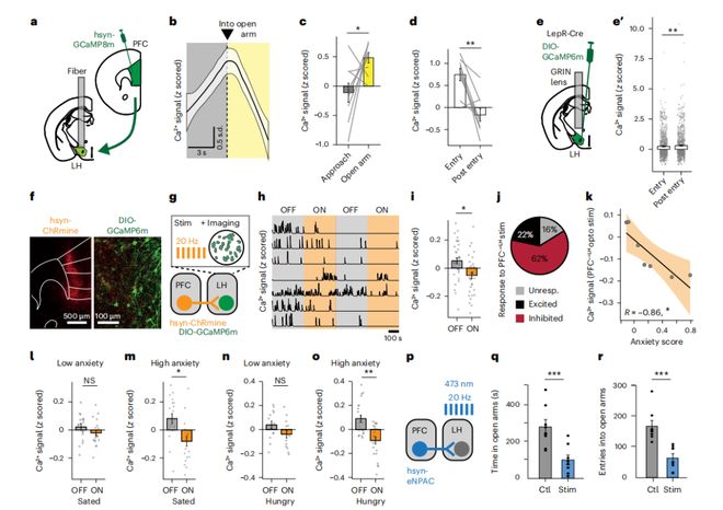 NatNeurosci：饿着不敢吃？科学家揭示外侧下丘脑瘦素受体神经元对抗焦虑的神经机制(图3)