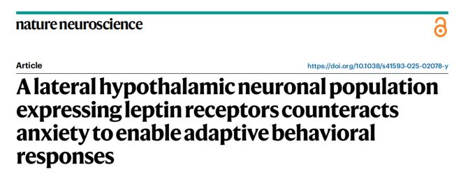 NatNeurosci：饿着不敢吃？科学家揭示外侧下丘脑瘦素受体神经元对抗焦虑的神经机制(图1)