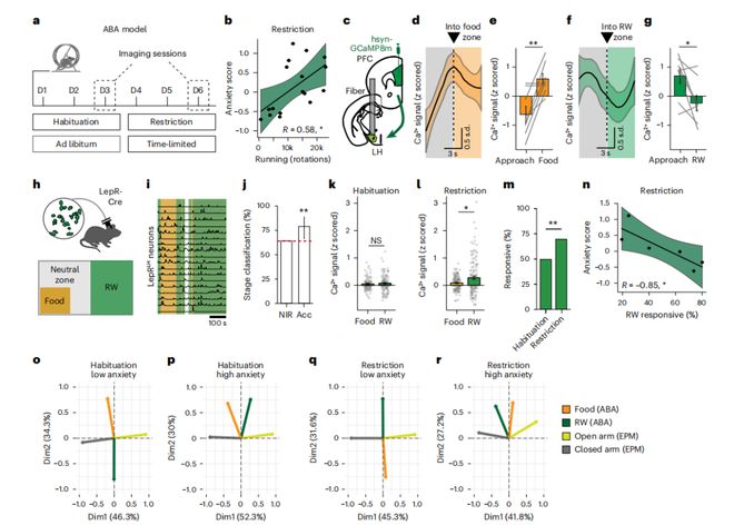 NatNeurosci：饿着不敢吃？科学家揭示外侧下丘脑瘦素受体神经元对抗焦虑的神经机制(图5)