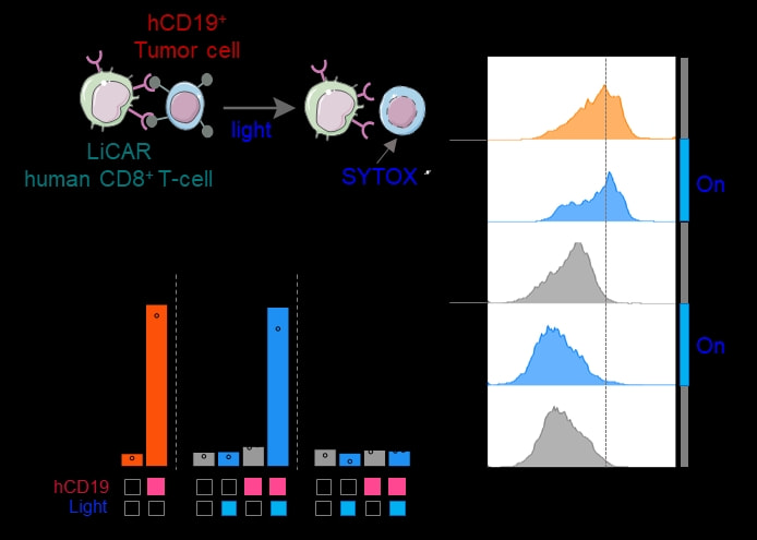 香港女儿梅艳芳：百变天后一生嫁给舞台护遍江湖的大姐大(图1)